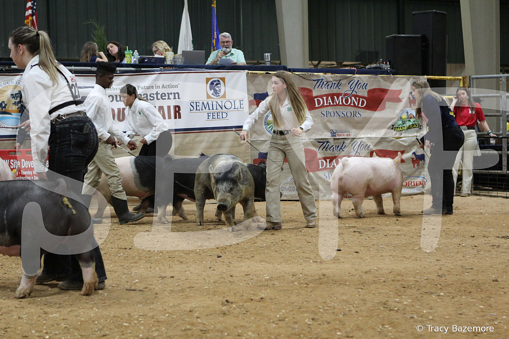 swine0411
