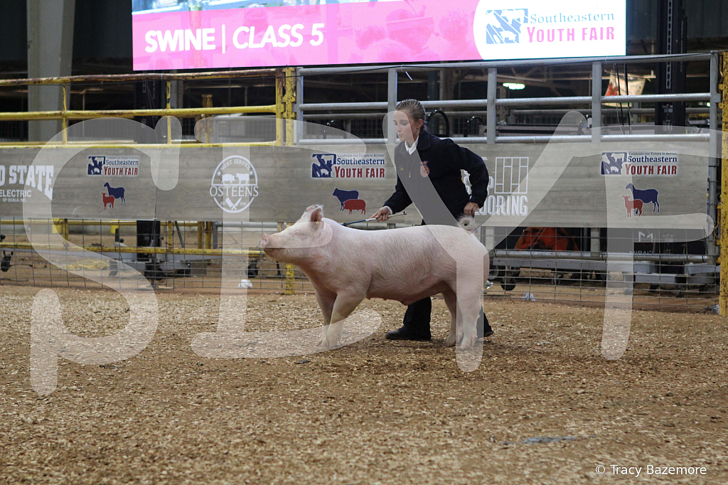swine0412