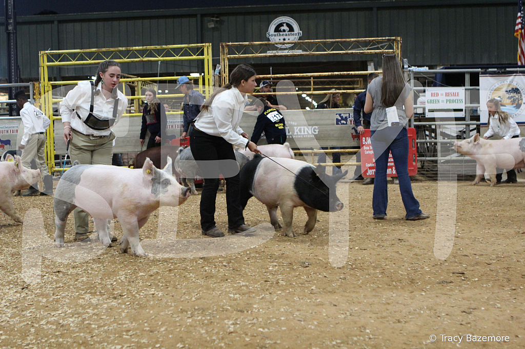 swine0414