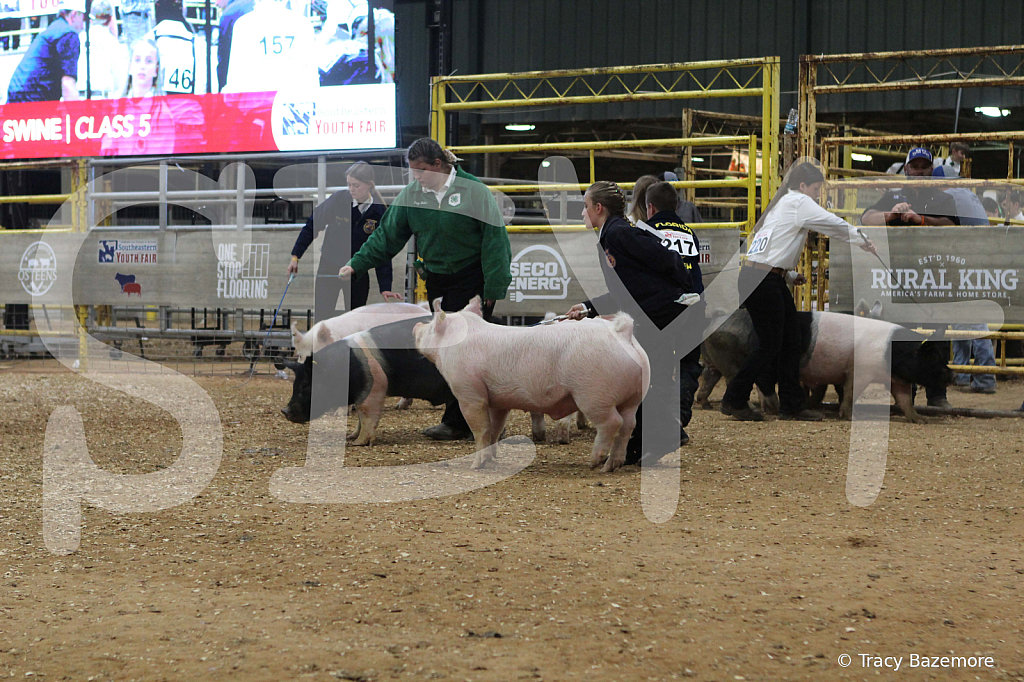 swine0416