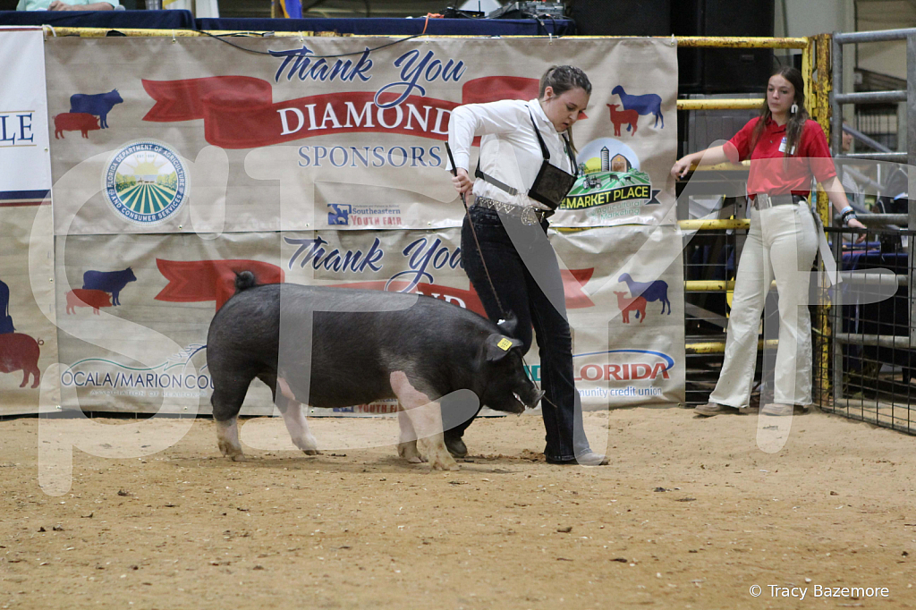 swine0417