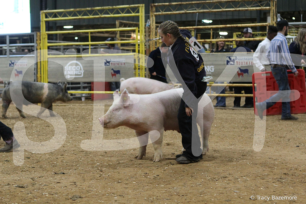 swine0420