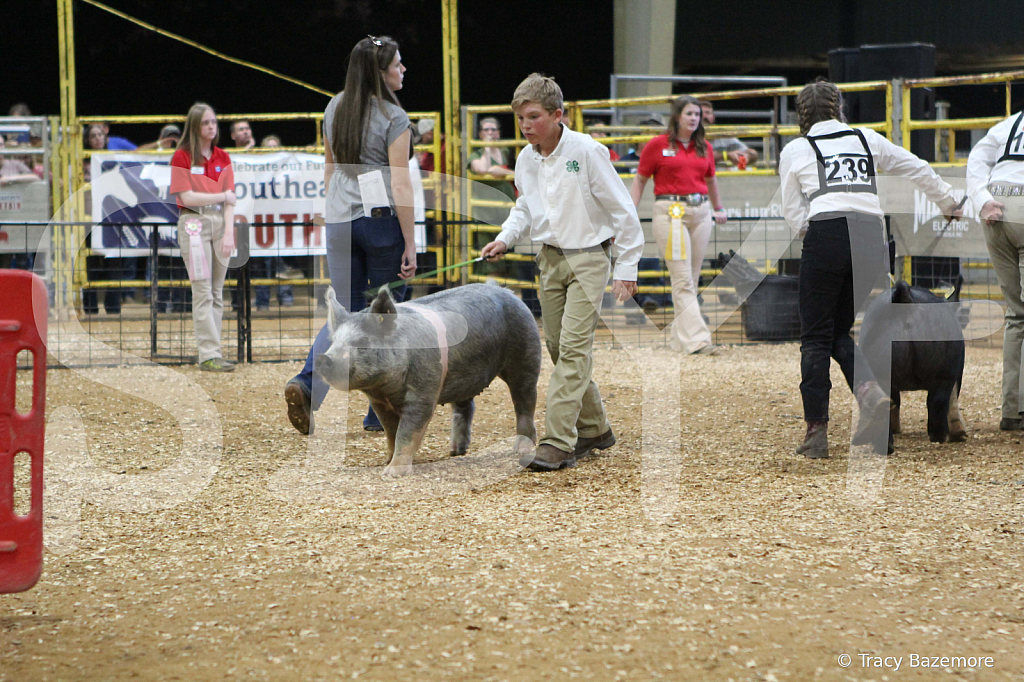 swine0421