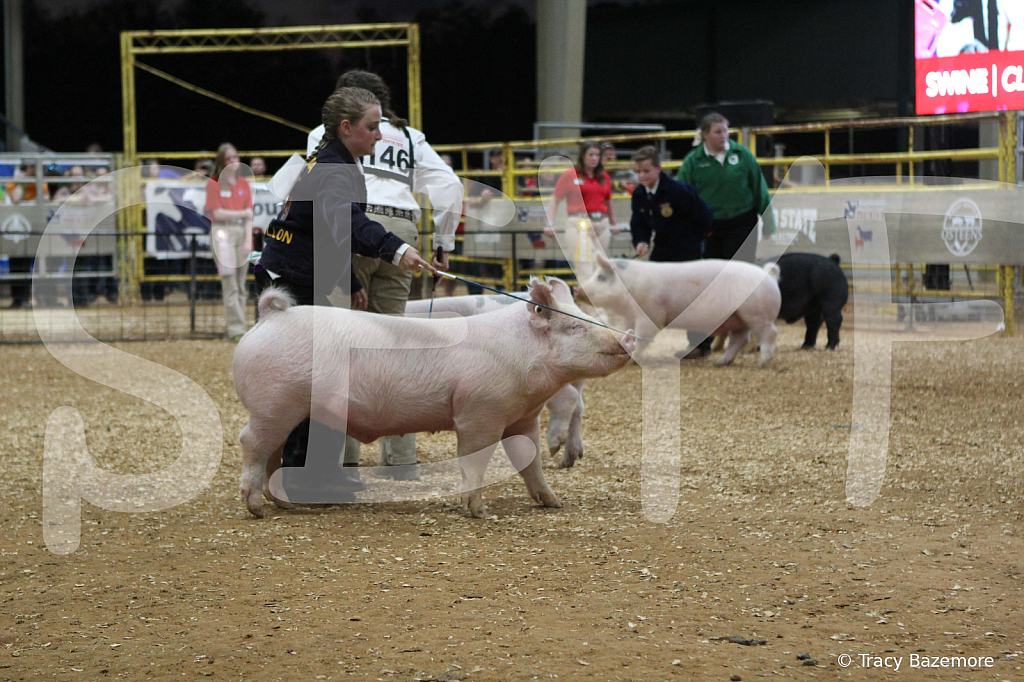 swine0422