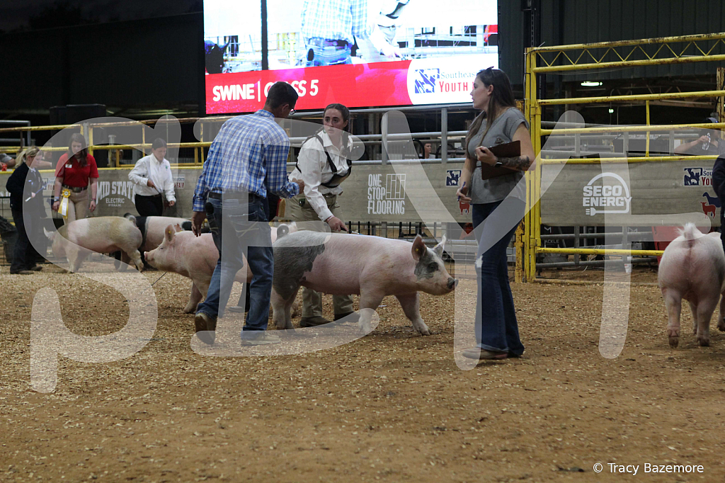 swine0423