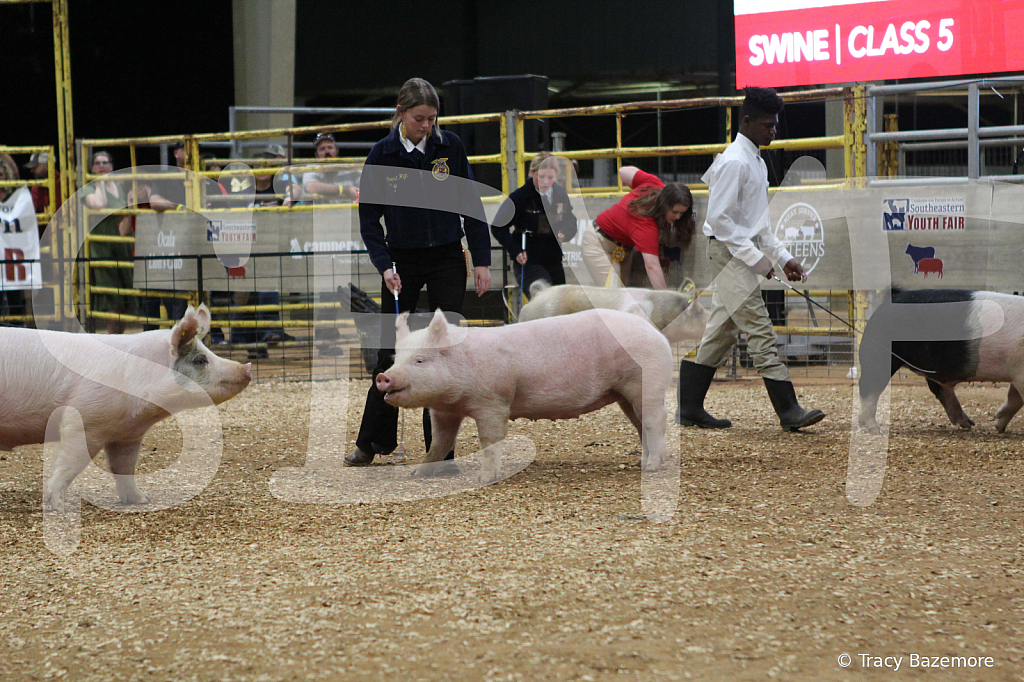 swine0424