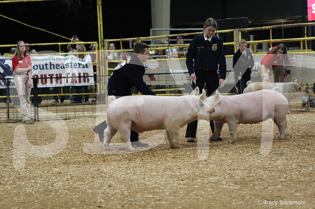 swine0425