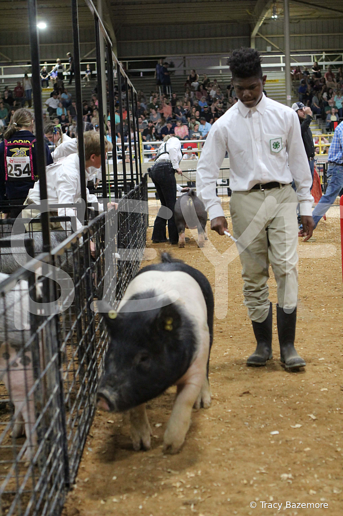swine0426