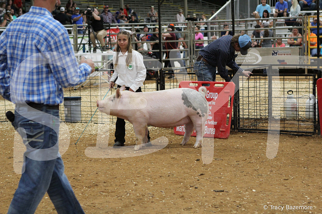 swine0429