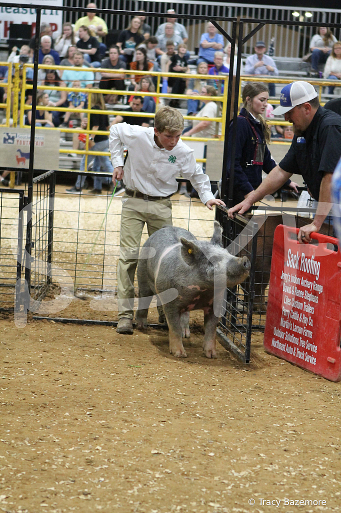 swine0431