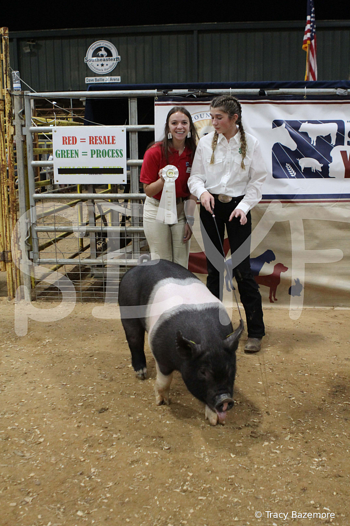 swine0445