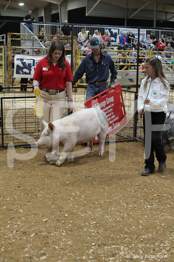 swine0448