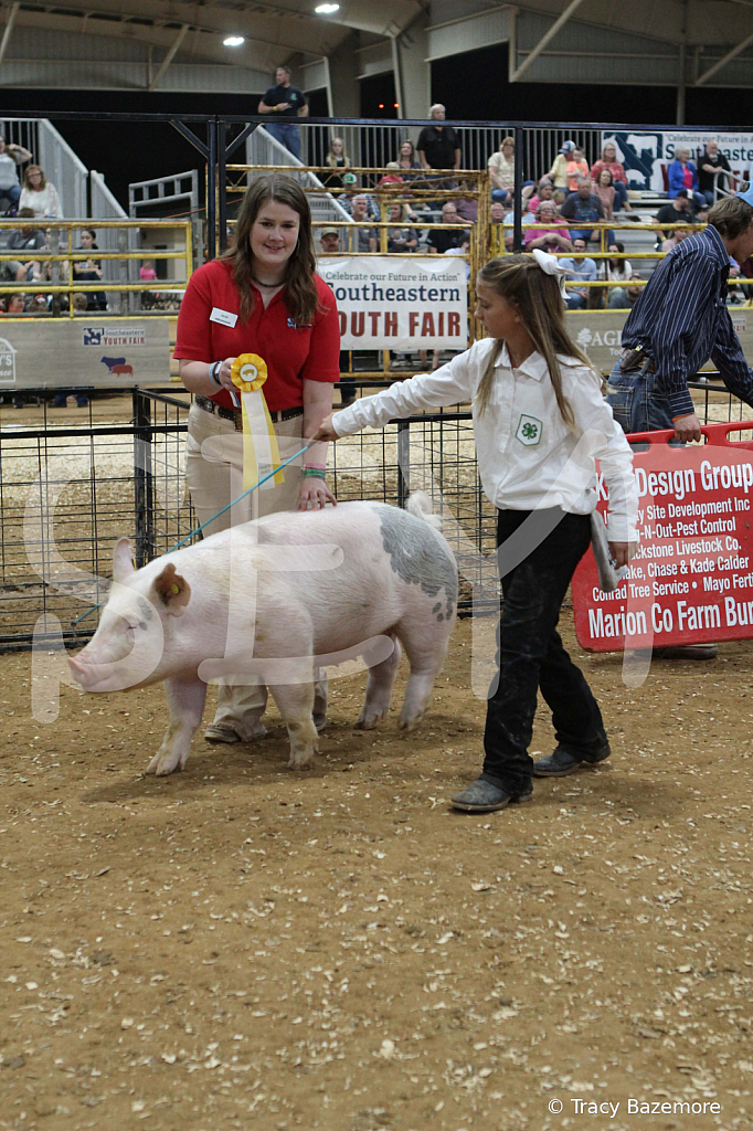 swine0449