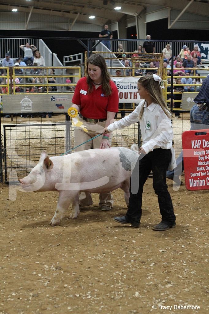 swine0450