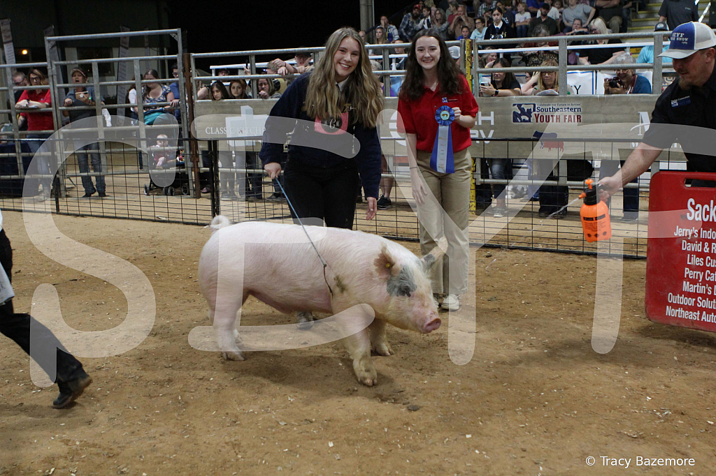 swine0454