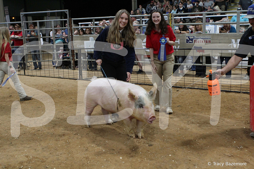 swine0455