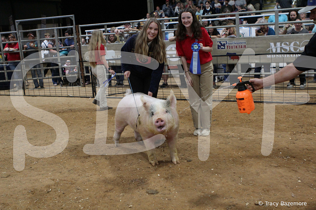 swine0456