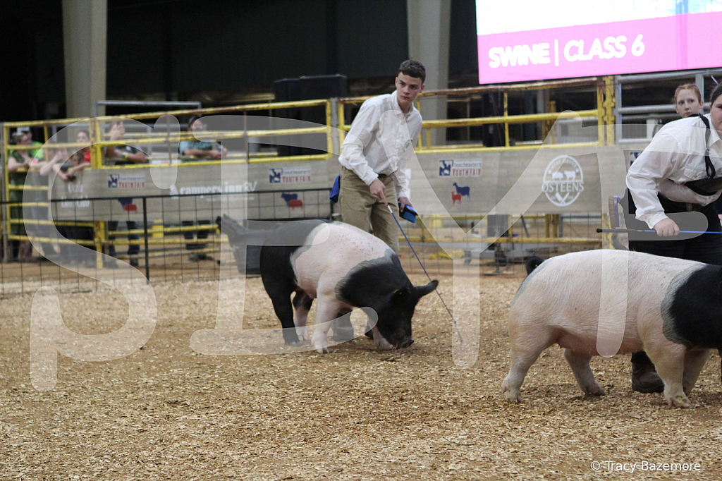 swine0465