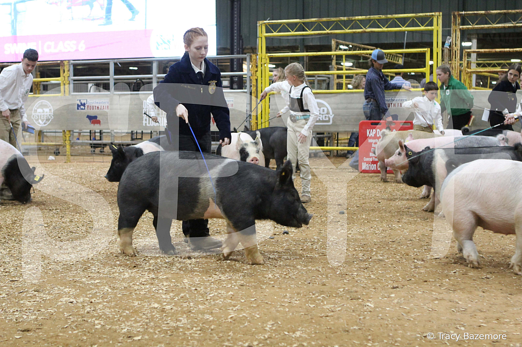 swine0467