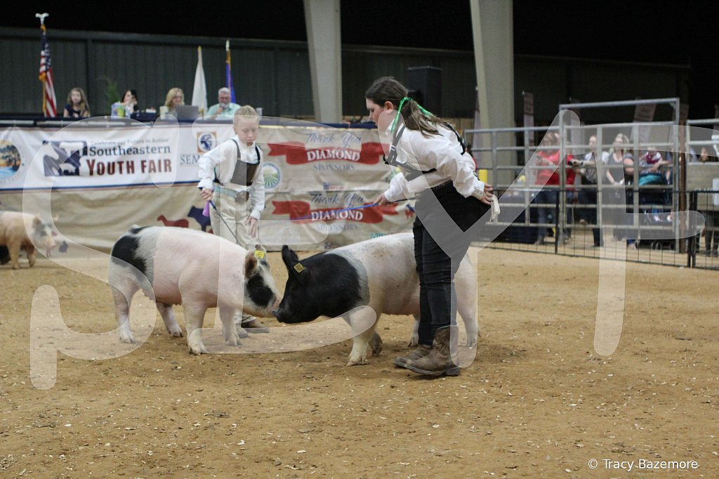 swine0470