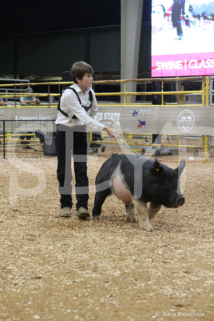swine0472