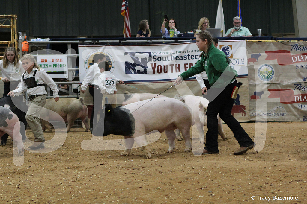 swine0473