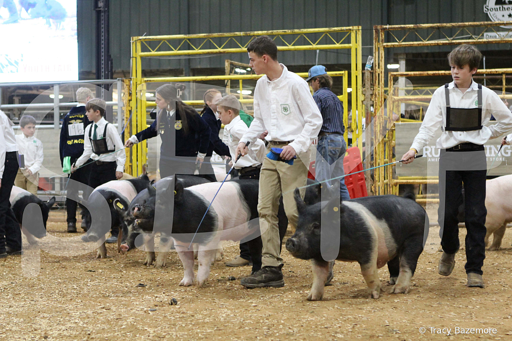 swine0476
