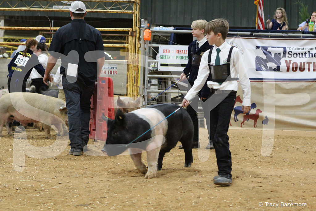 swine0477