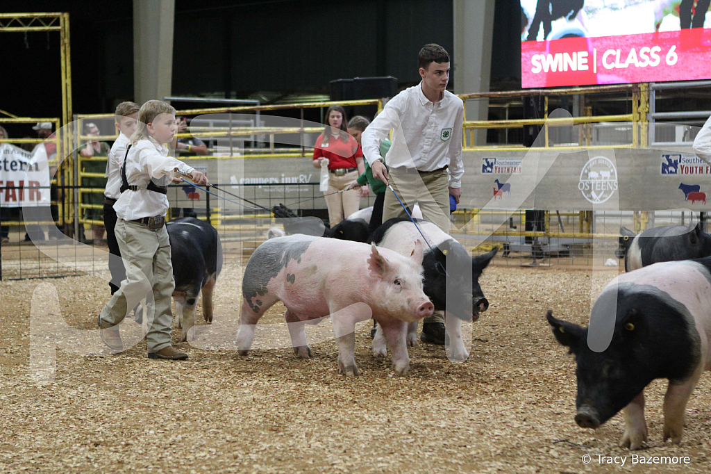 swine0478
