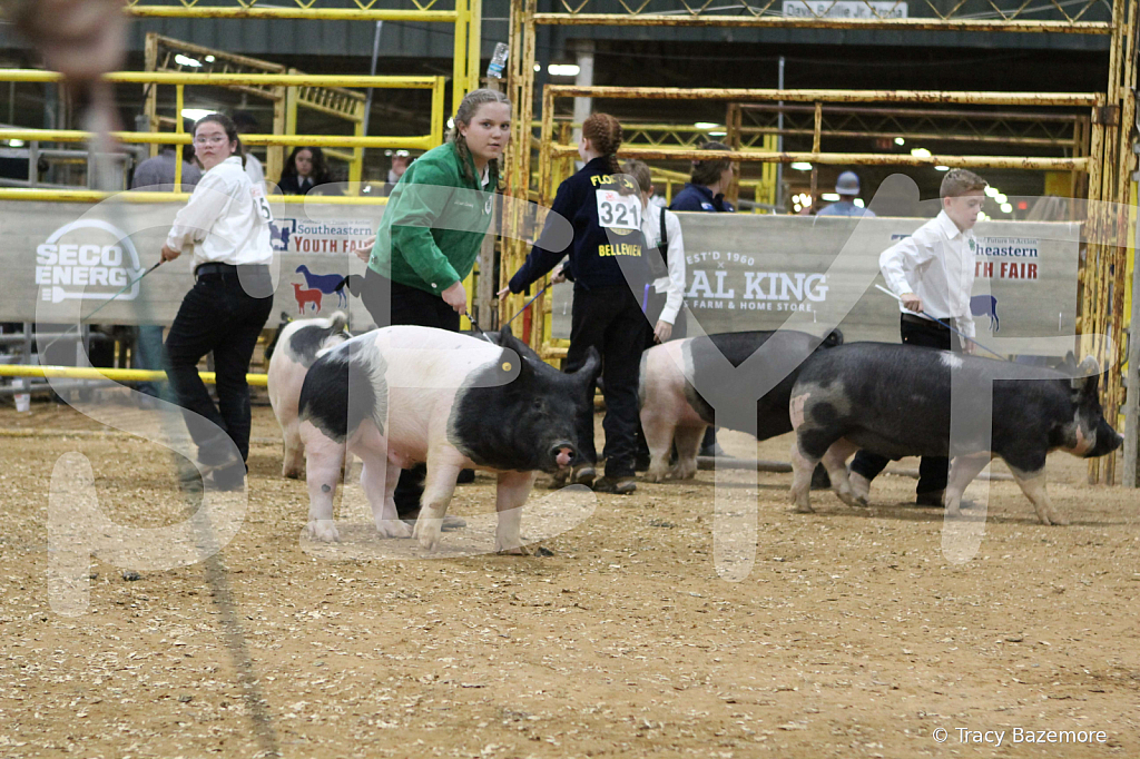 swine0484
