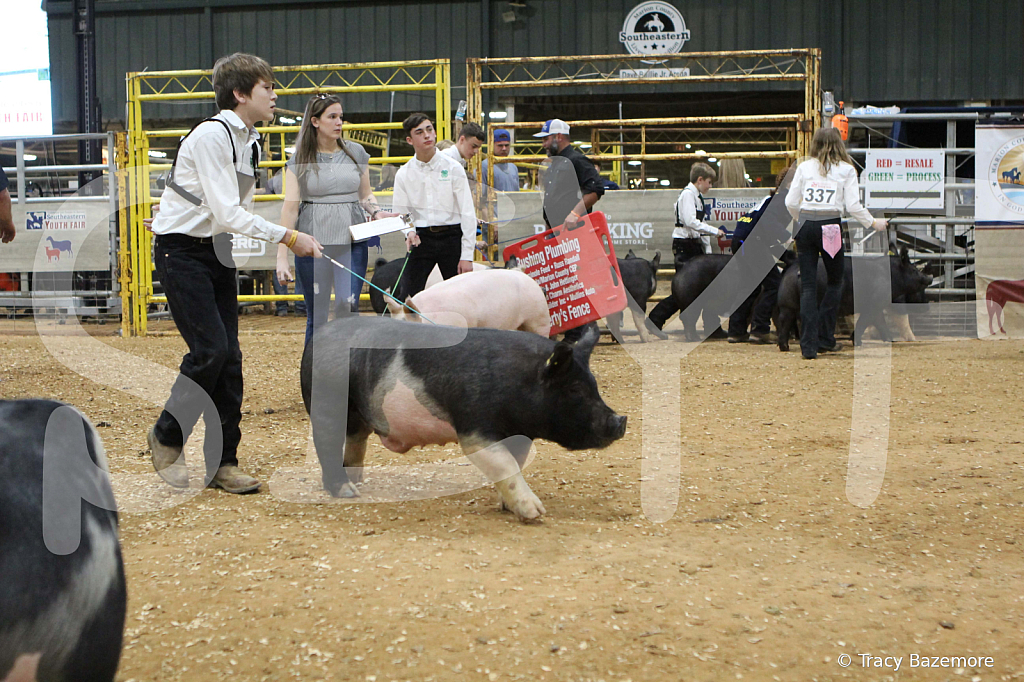 swine0483