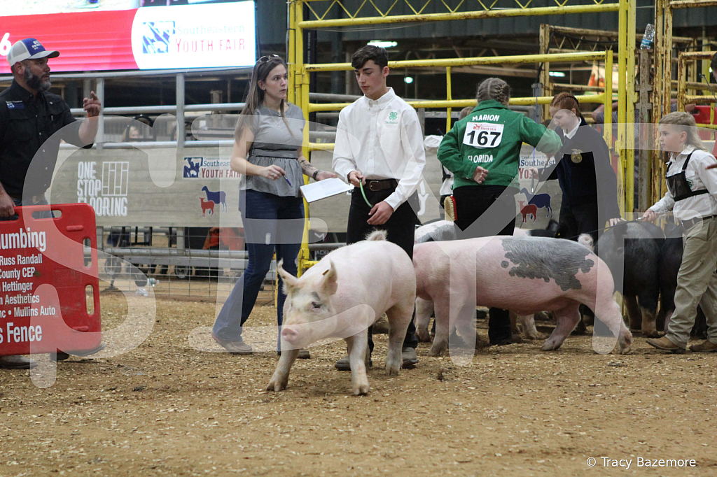 swine0487