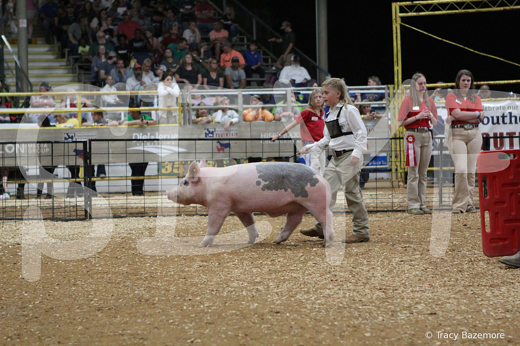 swine0488