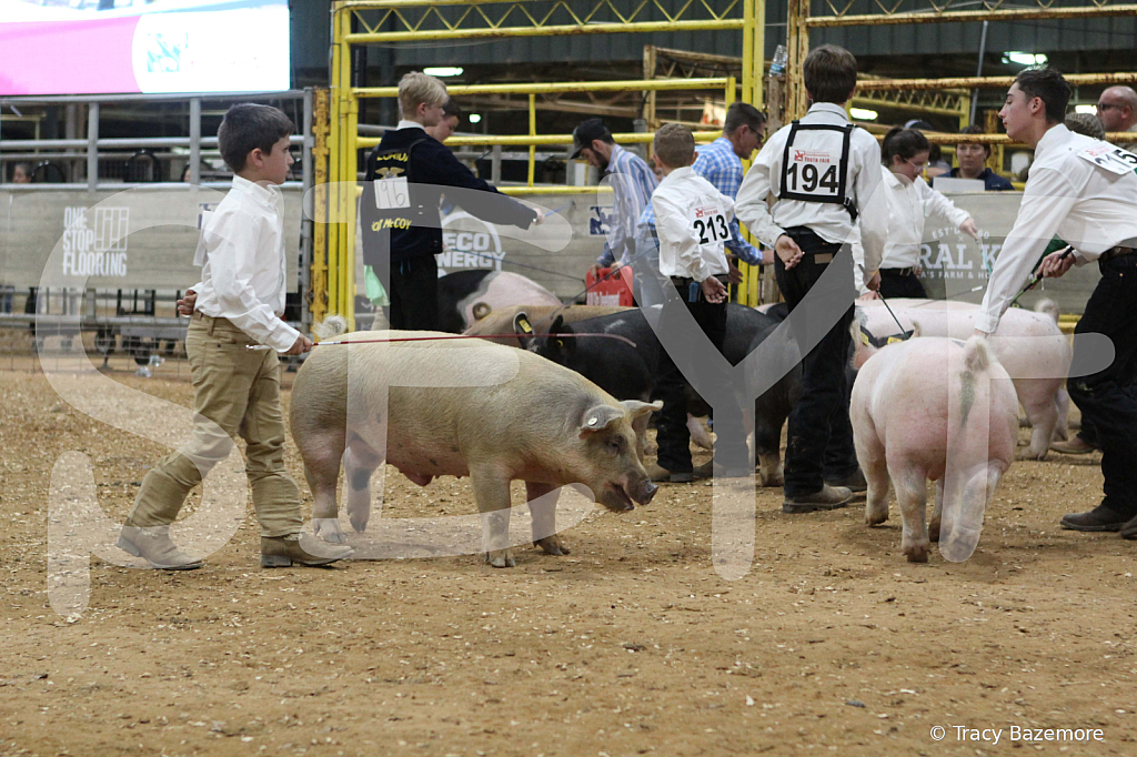 swine0491