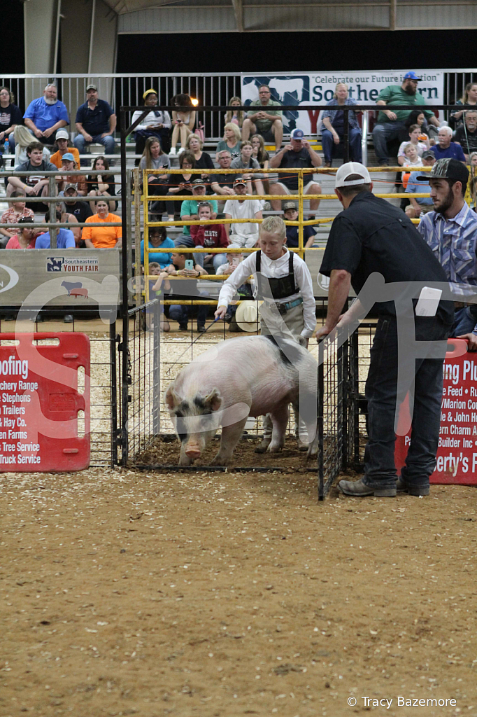 swine0493