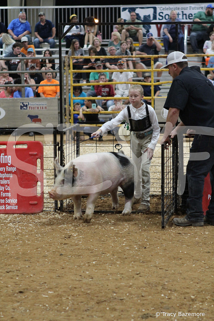 swine0494