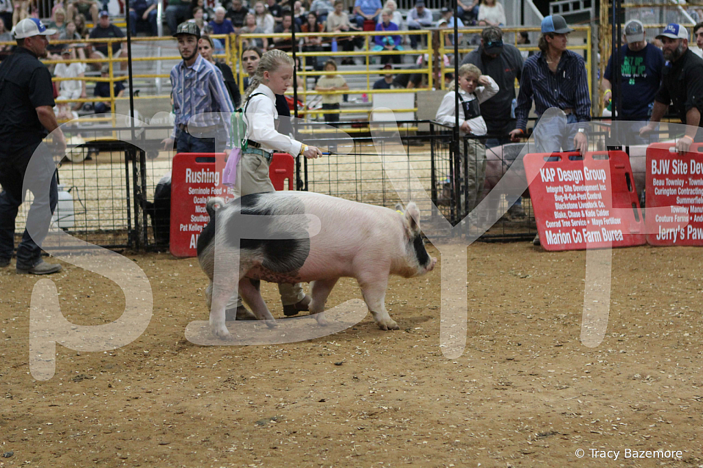 swine0495