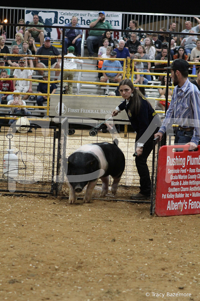 swine0496