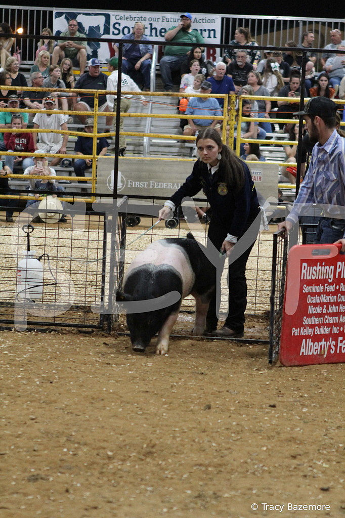 swine0497