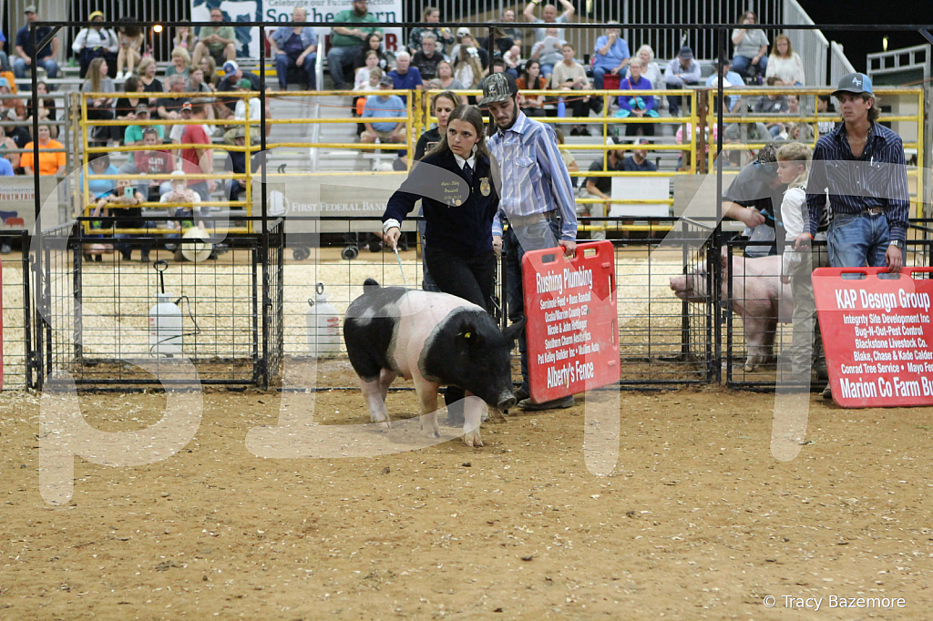 swine0498
