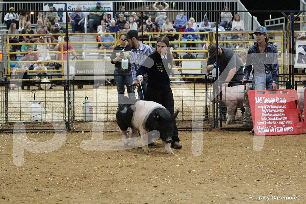 swine0499