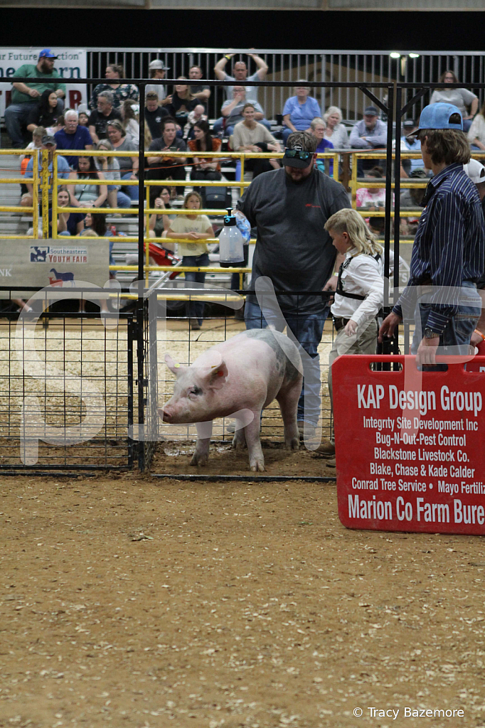swine0500