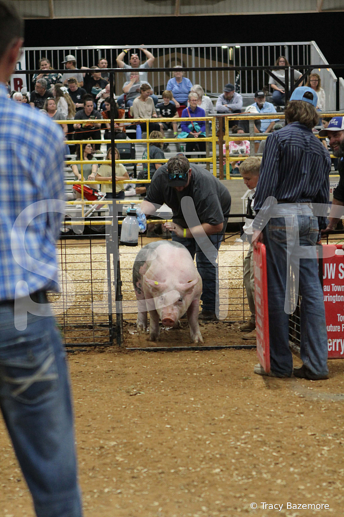 swine0501