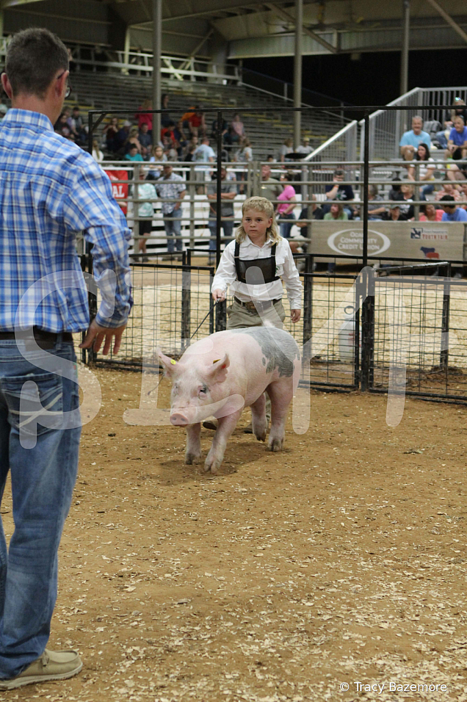 swine0502