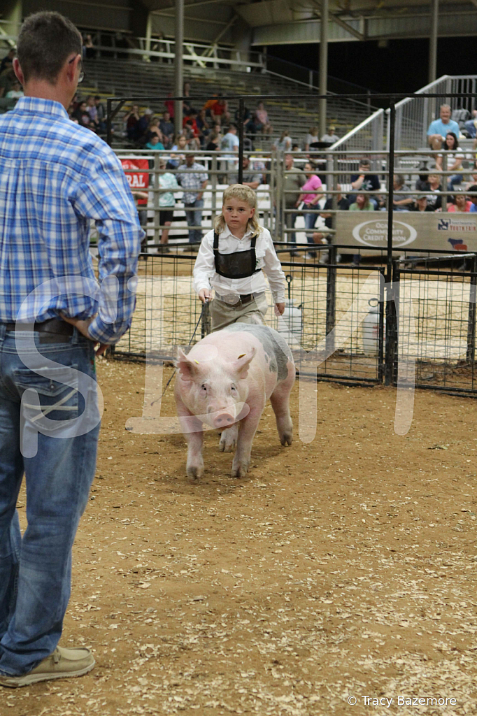 swine0503