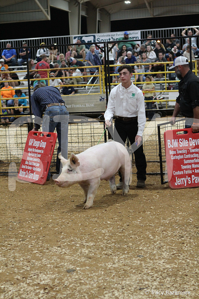 swine0504