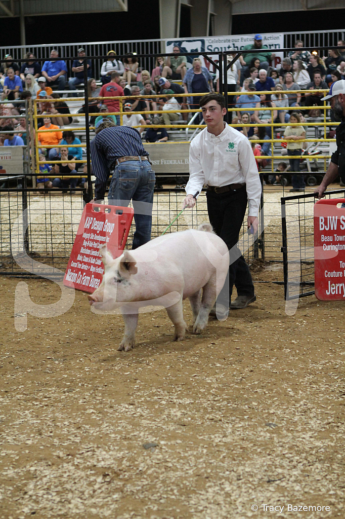 swine0505