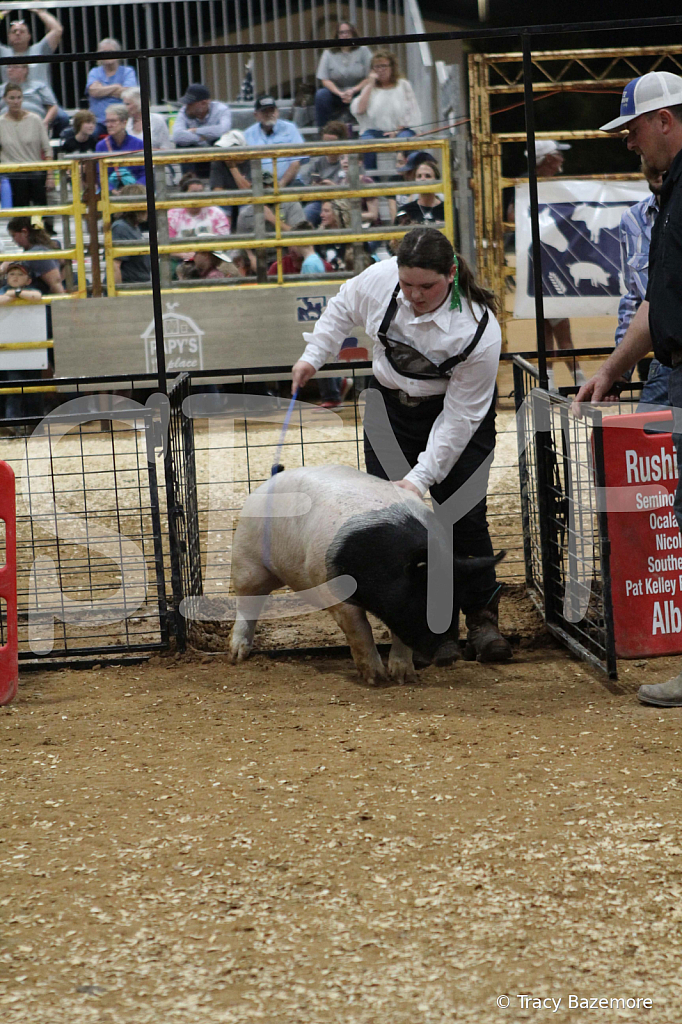 swine0506