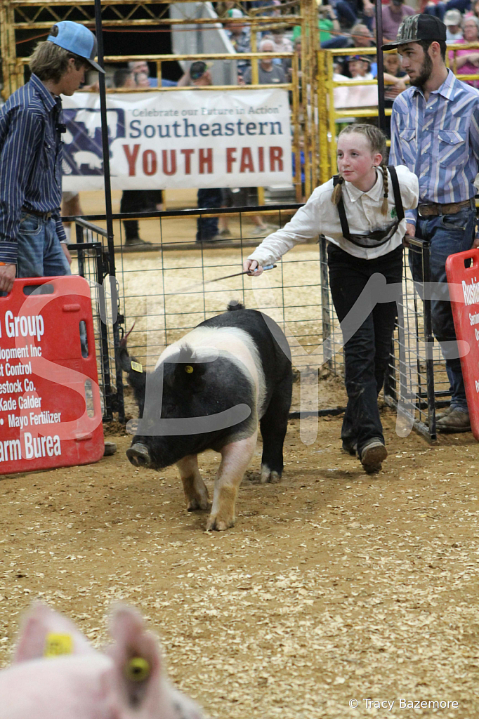 swine0508