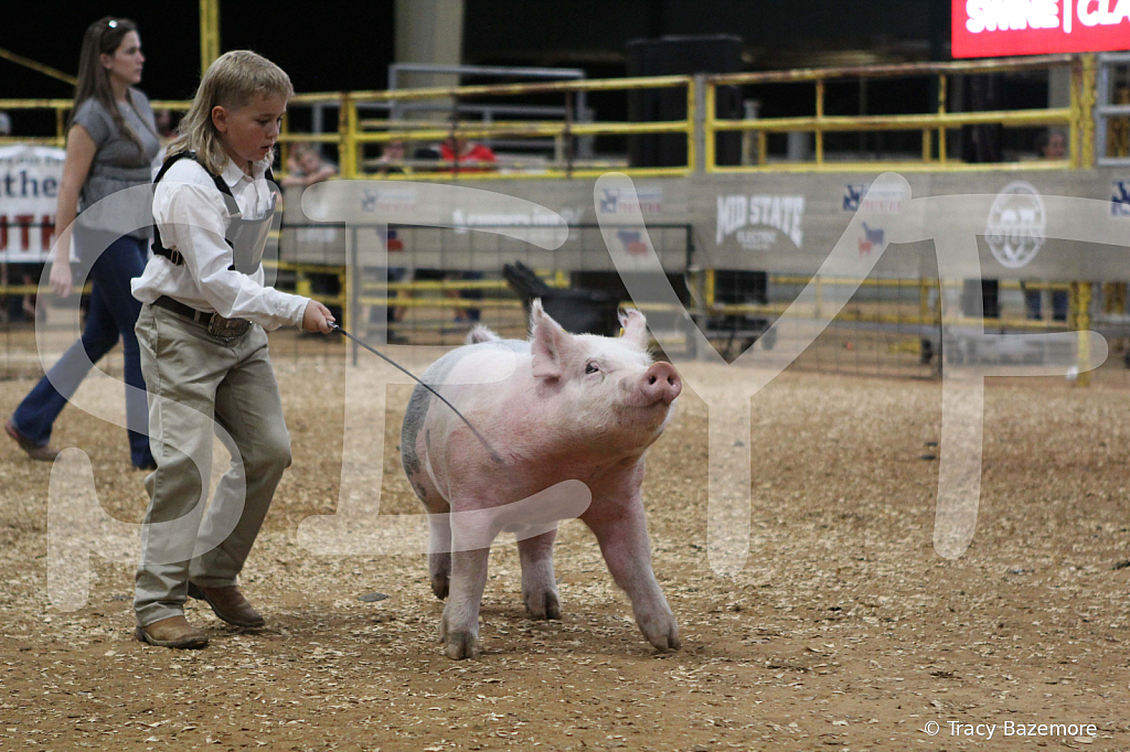 swine0511